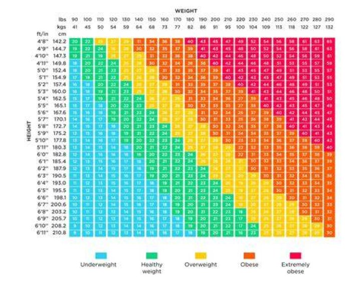 156センチ80キロはどう見える？BMI・健康リスク・無理ない減量の考え方