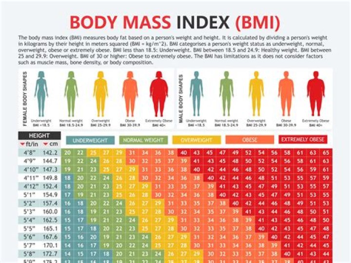 159cm 50kgは標準体型？BMI・見た目・健康の目安をわかりやすく解説